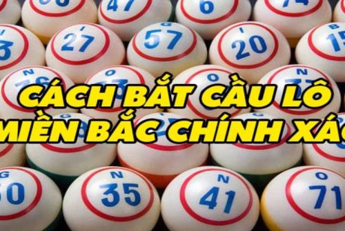 tổng hợp cách bắt lô chuẩn và hiệu quả nhất ai cũng nên biết
