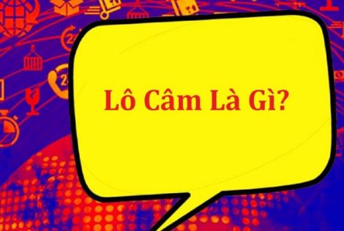 Đầu Lô Câm Đánh Con Gì? Kinh Nghiệm Đánh Lô Đầu Câm