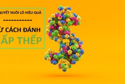 Chia sẻ kinh nghiệm nuôi lô gấp thếp lãi siêu to khổng lồ