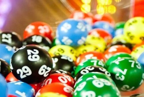 Kinh nghiệm nuôi Lô đặc biệt dành cho người mới chơi
