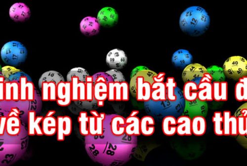 đề kép là gì? các loại đề kép phổ biến hiện nay