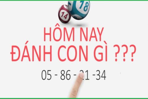 lô đề hôm nay đánh con gì đẹp nhất, kinh nghiệm lô chắc ăn